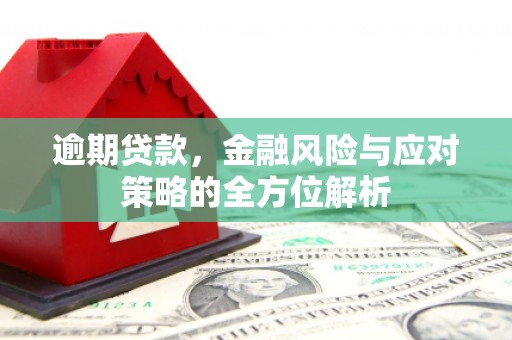 外埔逾期贷款，金融风险与应对策略的全方位解析