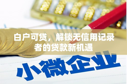 外埔白户可贷，解锁无信用记录者的贷款新机遇