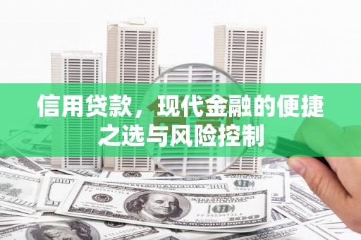 外埔信用贷款，现代金融的便捷之选与风险控制