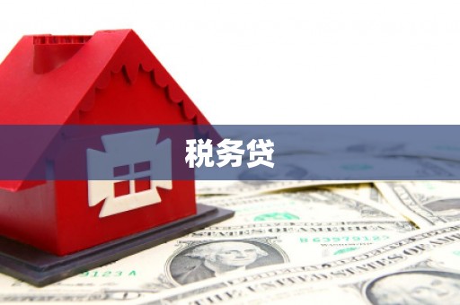 外埔税务贷