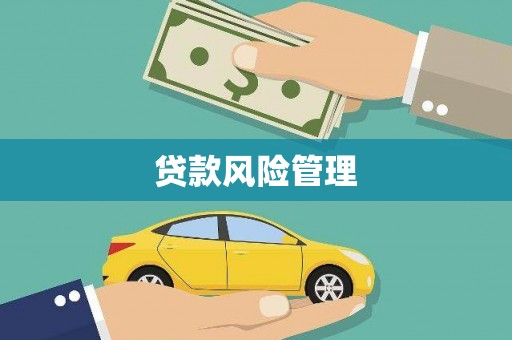 外埔贷款风险管理