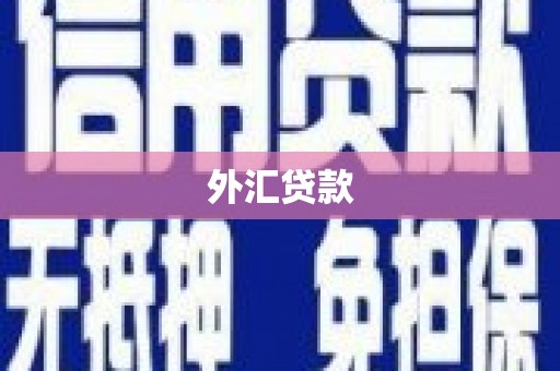 外埔外汇贷款
