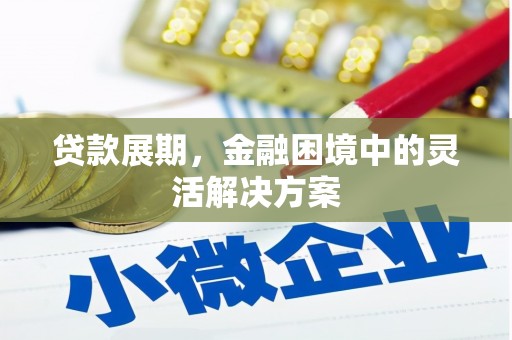 外埔贷款展期，金融困境中的灵活解决方案