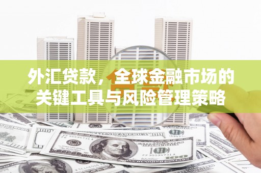 外埔外汇贷款，全球金融市场的关键工具与风险管理策略