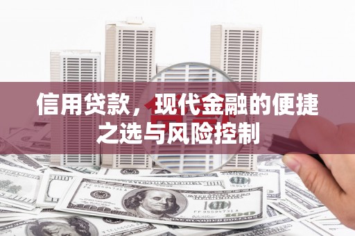外埔信用贷款，现代金融的便捷之选与风险控制