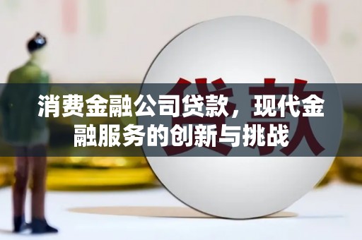 外埔消费金融公司贷款，现代金融服务的创新与挑战