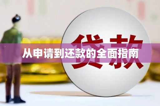 外埔从申请到还款的全面指南