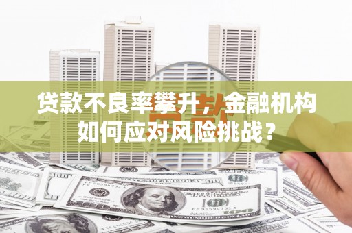 外埔贷款不良率攀升，金融机构如何应对风险挑战？