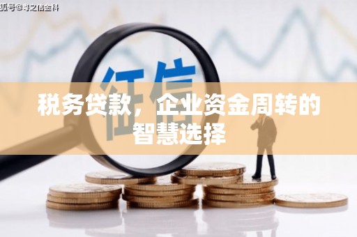 外埔税务贷款，企业资金周转的智慧选择