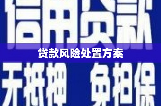 外埔贷款风险处置方案