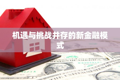 外埔机遇与挑战并存的新金融模式