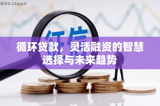 外埔循环贷款，灵活融资的智慧选择与未来趋势