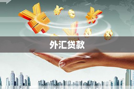 外埔外汇贷款