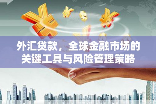 外埔外汇贷款，全球金融市场的关键工具与风险管理策略
