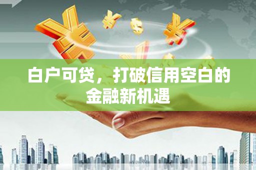外埔白户可贷，打破信用空白的金融新机遇