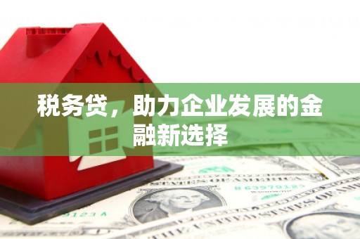 外埔税务贷，助力企业发展的金融新选择