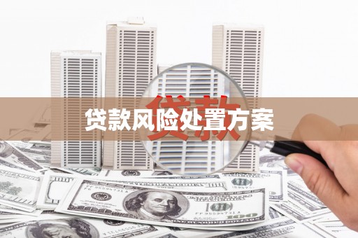 外埔贷款风险处置方案