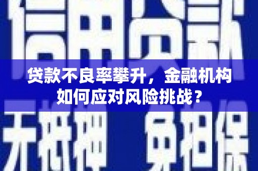 外埔贷款不良率攀升，金融机构如何应对风险挑战？