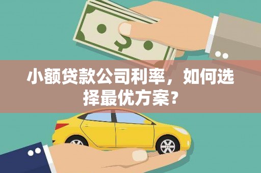 外埔小额贷款公司利率，如何选择最优方案？
