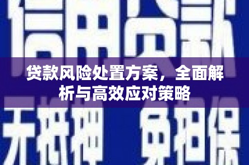 外埔贷款风险处置方案，全面解析与高效应对策略