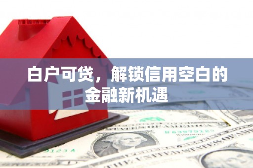 外埔白户可贷，解锁信用空白的金融新机遇