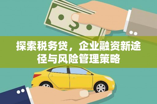 外埔探索税务贷，企业融资新途径与风险管理策略