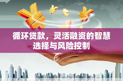 外埔循环贷款，灵活融资的智慧选择与风险控制
