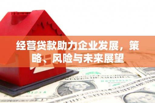 外埔经营贷款助力企业发展，策略、风险与未来展望