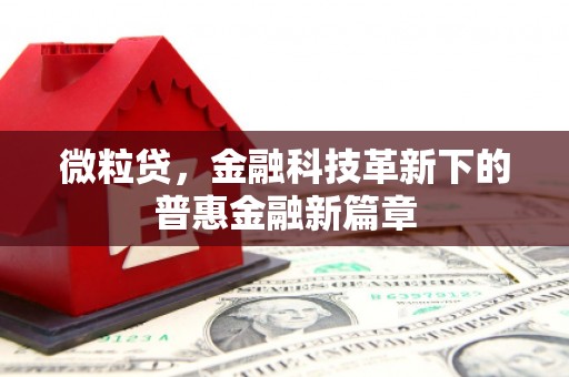 外埔微粒贷，金融科技革新下的普惠金融新篇章