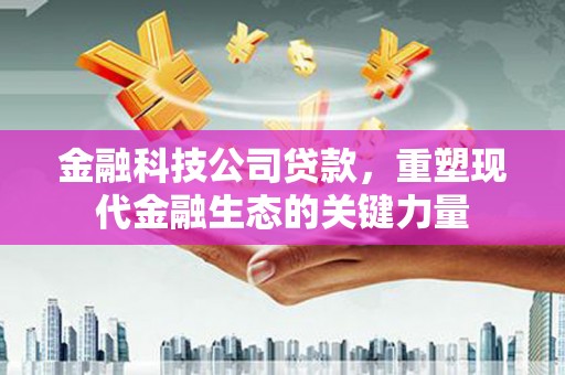 外埔金融科技公司贷款，重塑现代金融生态的关键力量