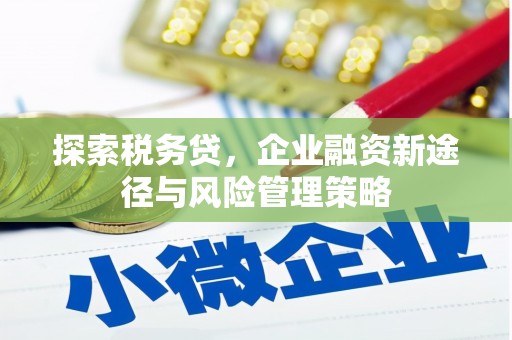 外埔探索税务贷，企业融资新途径与风险管理策略