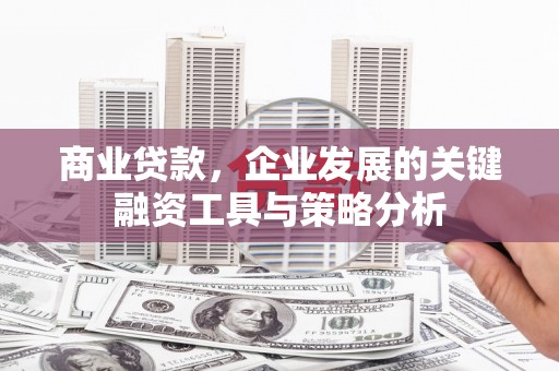 外埔商业贷款，企业发展的关键融资工具与策略分析