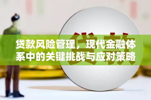 外埔贷款风险管理，现代金融体系中的关键挑战与应对策略