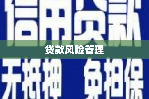 外埔贷款风险管理