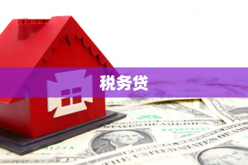 外埔税务贷