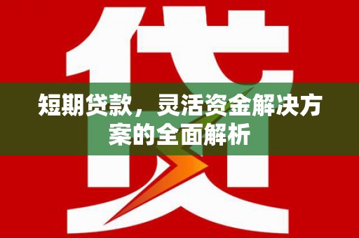 外埔短期贷款，灵活资金解决方案的全面解析