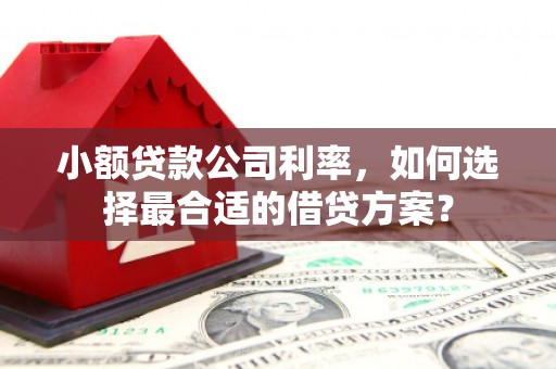 外埔小额贷款公司利率，如何选择最合适的借贷方案？
