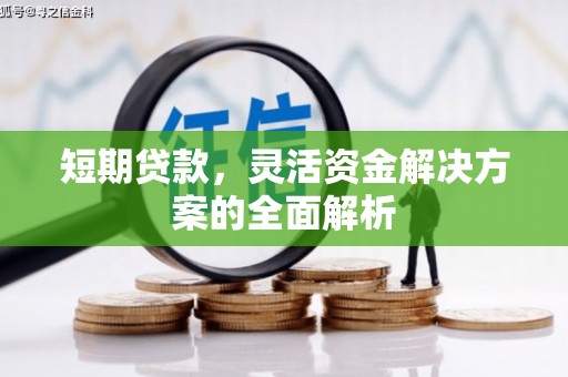 外埔短期贷款，灵活资金解决方案的全面解析