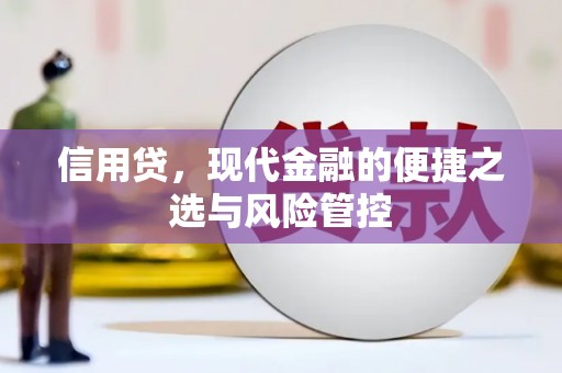外埔信用贷，现代金融的便捷之选与风险管控