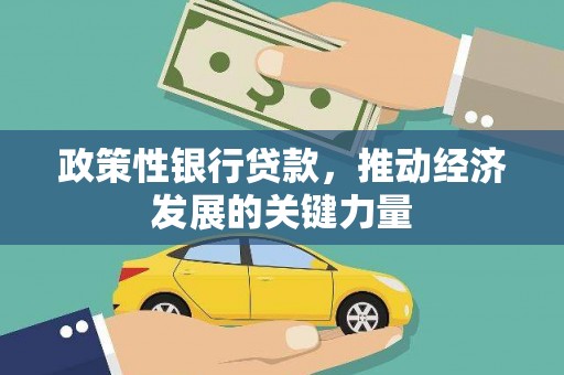 外埔政策性银行贷款，推动经济发展的关键力量
