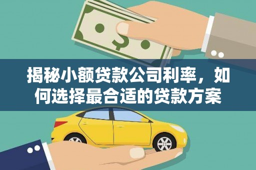 外埔揭秘小额贷款公司利率，如何选择最合适的贷款方案