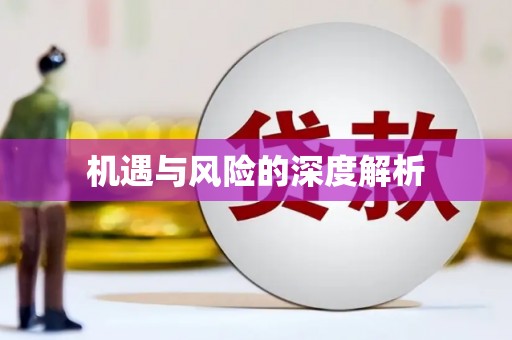 外埔机遇与风险的深度解析