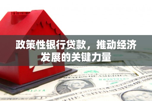 外埔政策性银行贷款，推动经济发展的关键力量