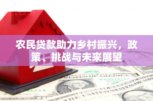 外埔农民贷款助力乡村振兴，政策、挑战与未来展望