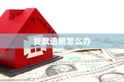 外埔贷款逾期怎么办