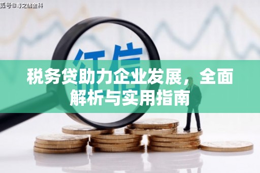 外埔税务贷助力企业发展，全面解析与实用指南
