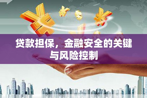 外埔贷款担保，金融安全的关键与风险控制