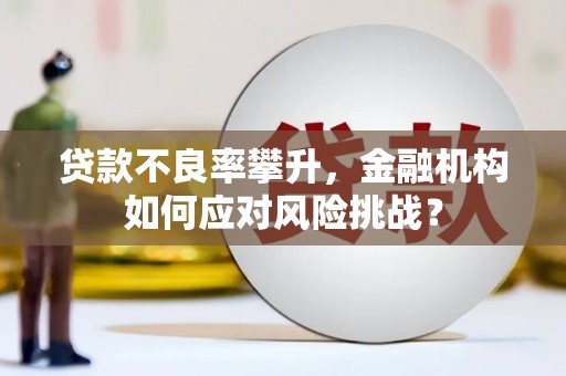 外埔贷款不良率攀升，金融机构如何应对风险挑战？