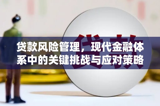 外埔贷款风险管理，现代金融体系中的关键挑战与应对策略