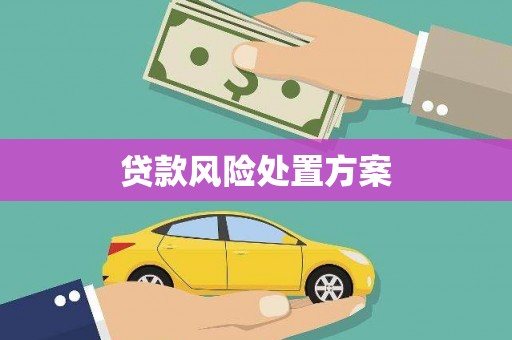 外埔贷款风险处置方案